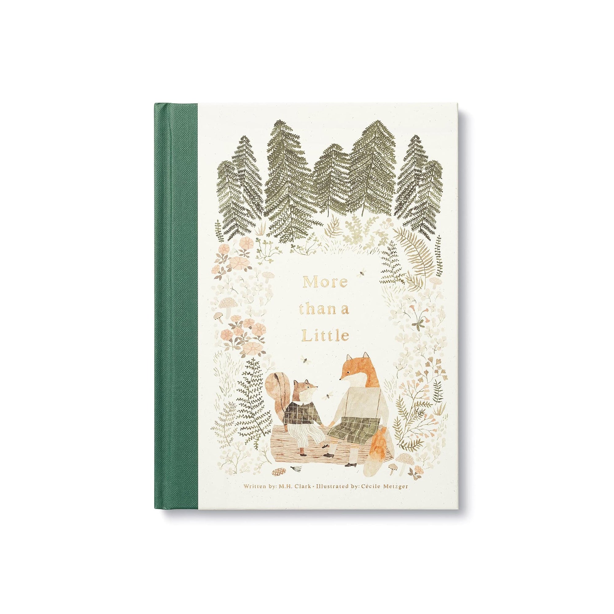 More Than a Little Book