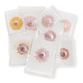 Large Pressed Botanicals- Gerbera