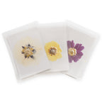 Large Pressed Botanicals- Peony