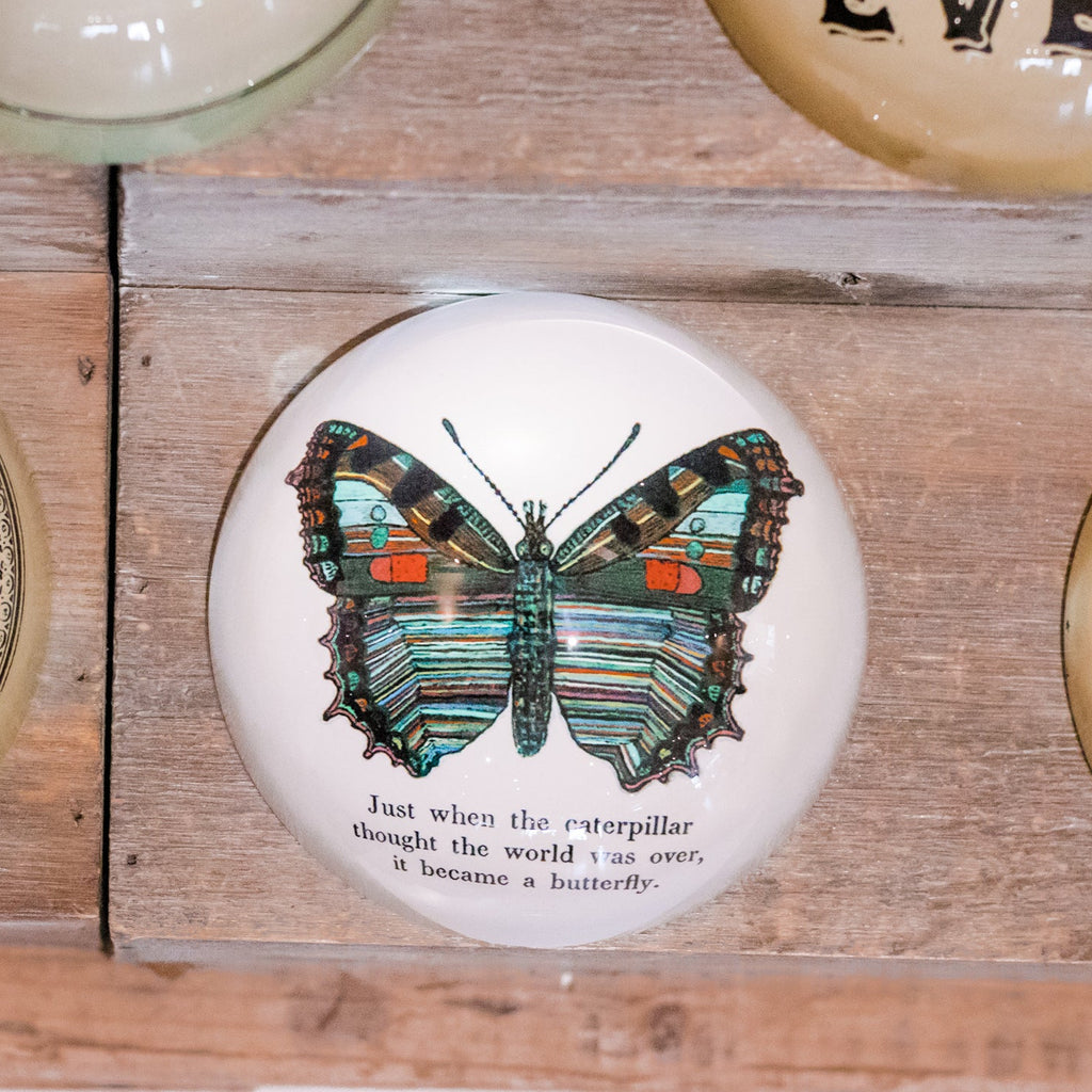 Butterfly Paperweight