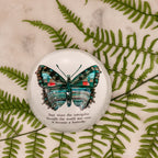 Butterfly Paperweight