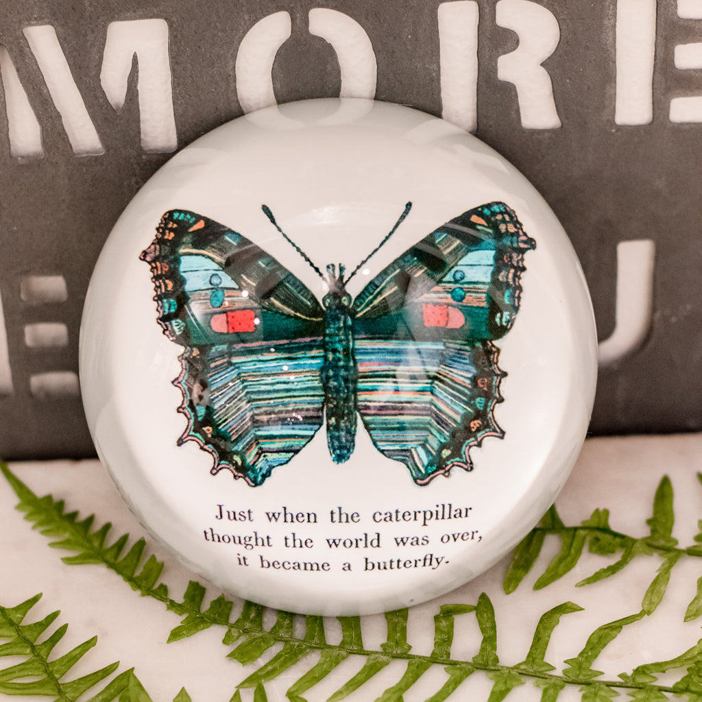Butterfly Paperweight