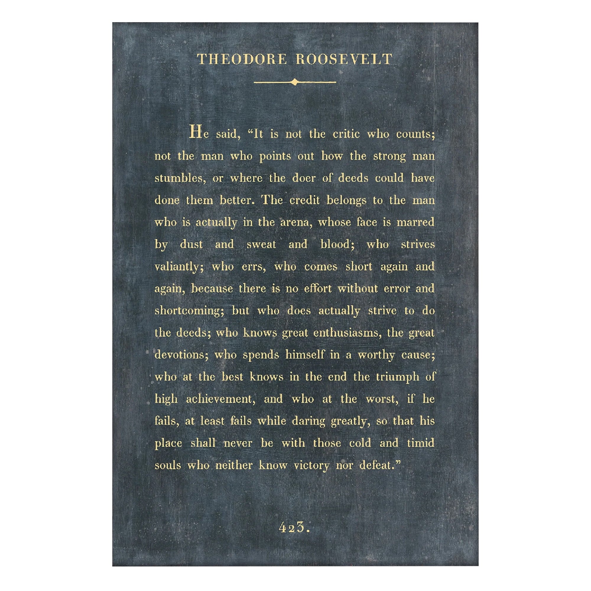 Theodore Roosevelt - Book Collection - Art Print