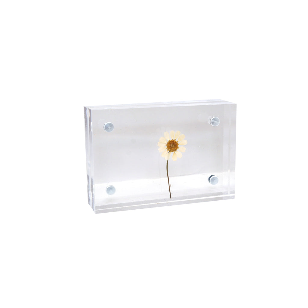 Acrylic Frames