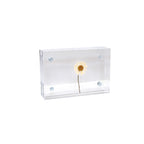 Acrylic Frames
