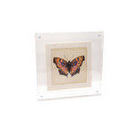 Acrylic Frames