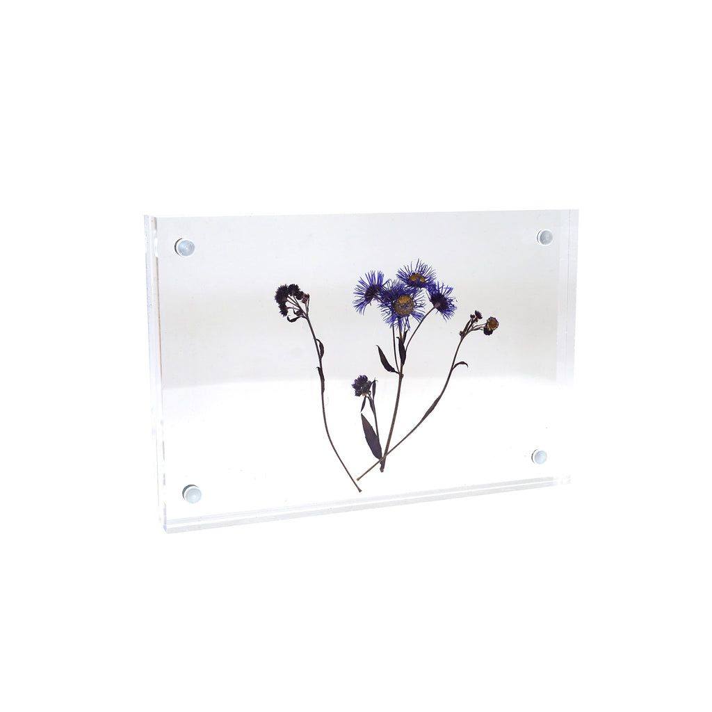 Acrylic Frames