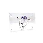 Acrylic Frames