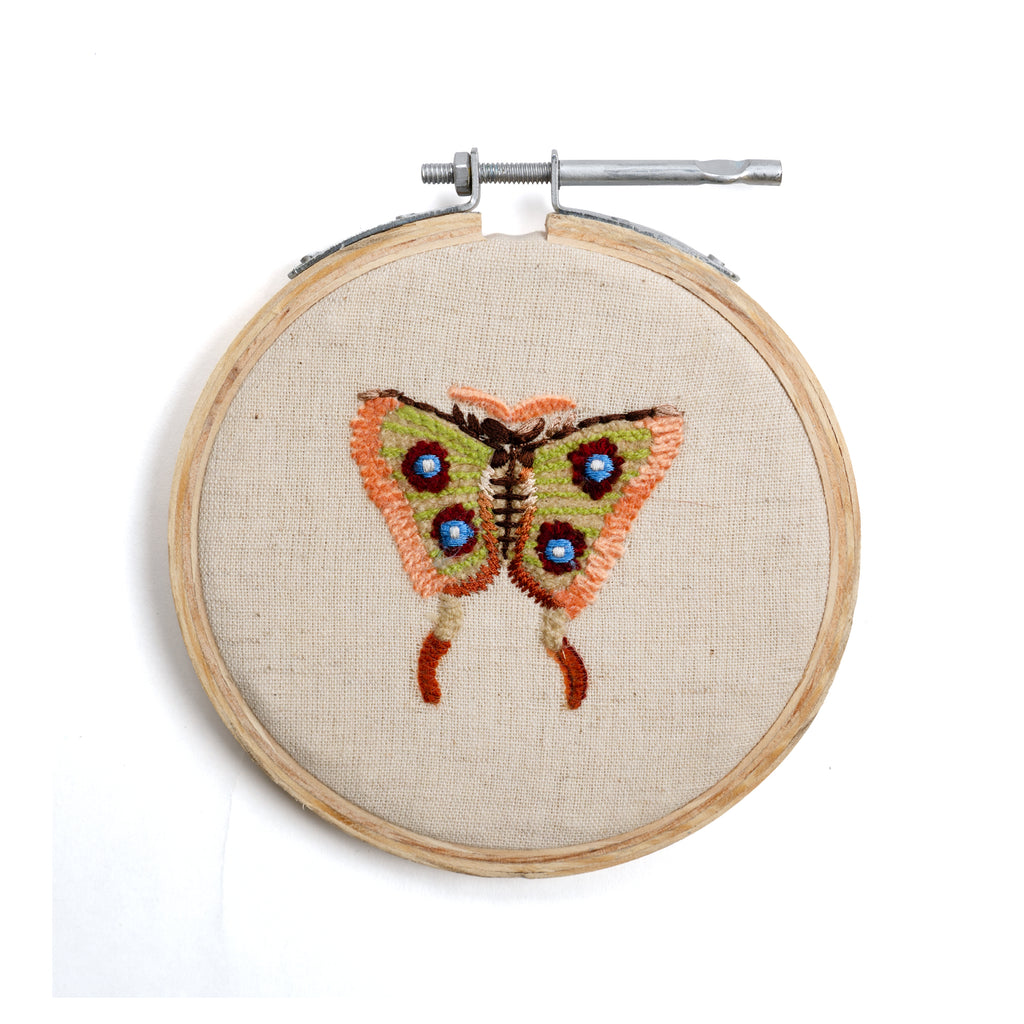 Butterfly Embroidery Hoop Collection - Orange & Green Wing - 4in