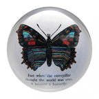 Butterfly Paperweight
