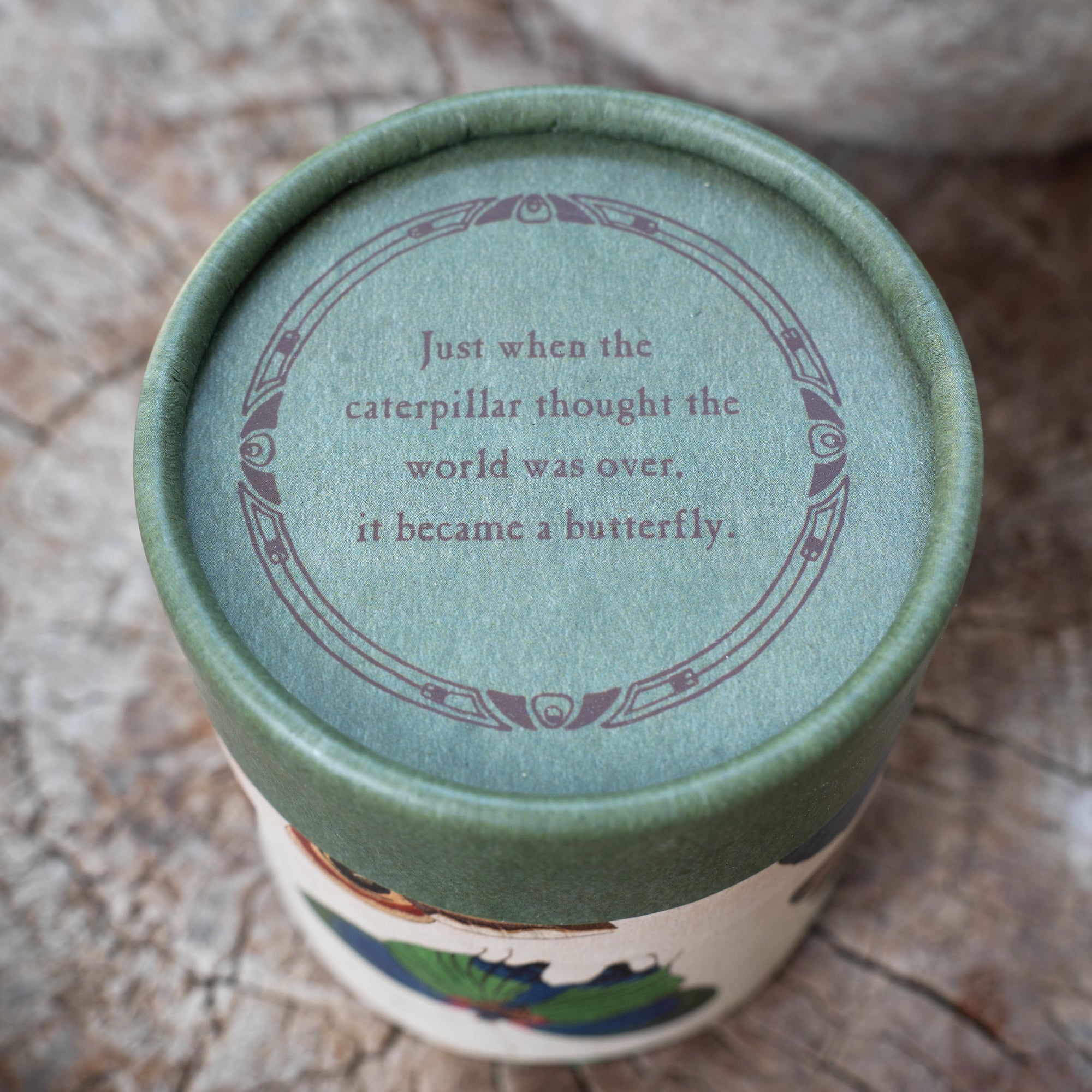 Butterfly Flora & Fauna Candle
