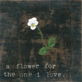 Little White Flower For the One I Love - Art Print