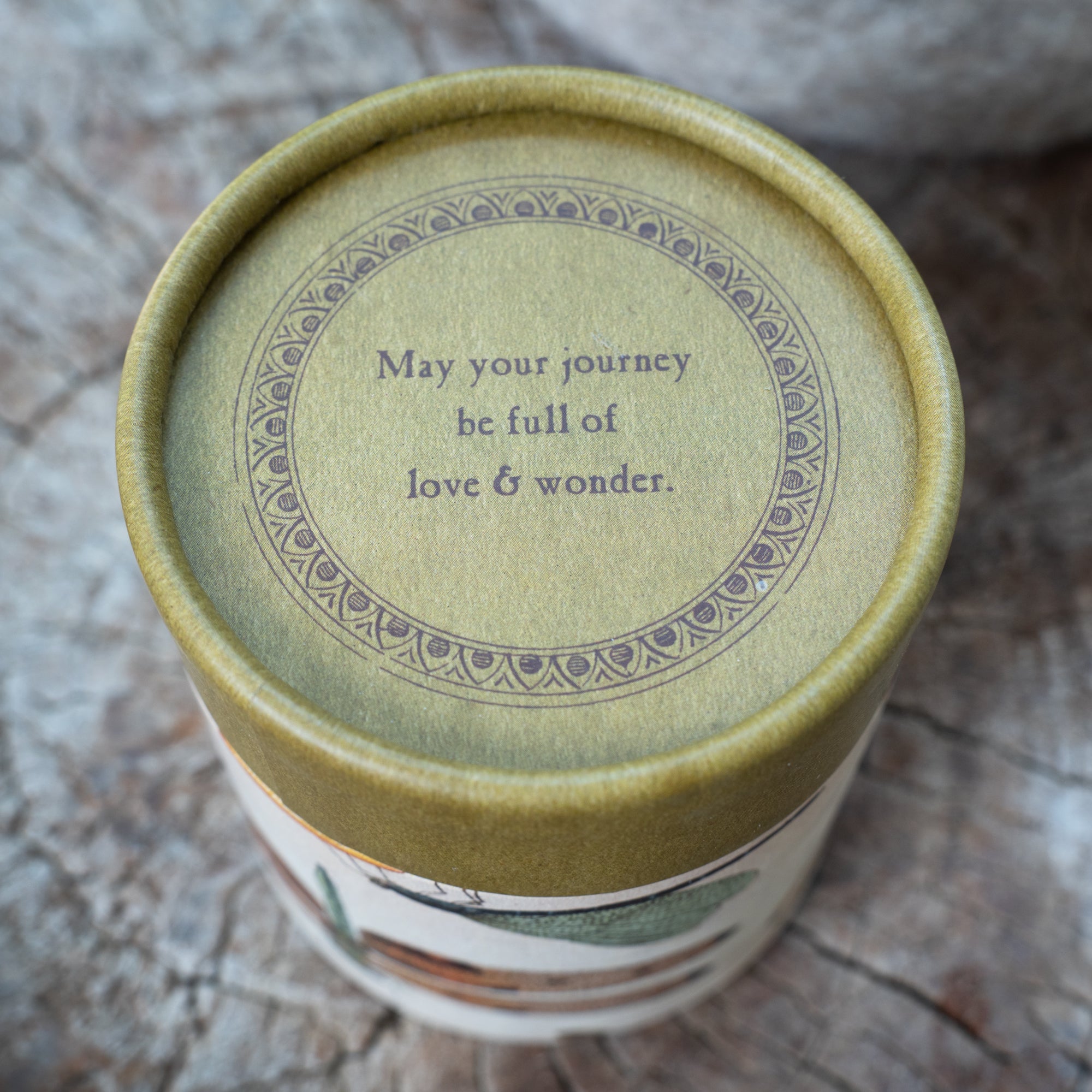 Dragonfly Flora & Fauna Candle