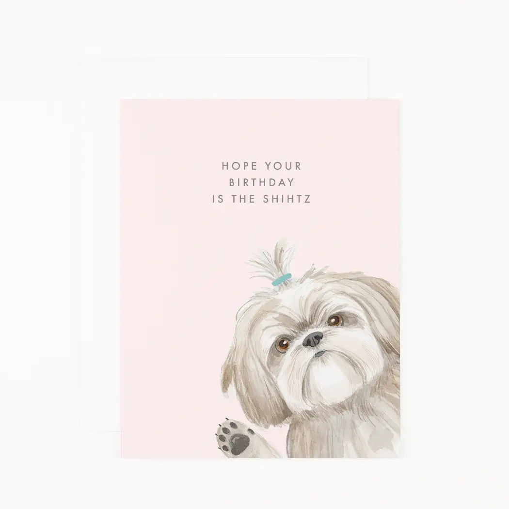 Birthday is the Shihtz