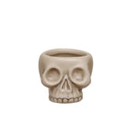 Stoneware Skull Shaped Toothpick Holder - Bone Finish