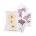 Large Pressed Botanicals- Cosmos