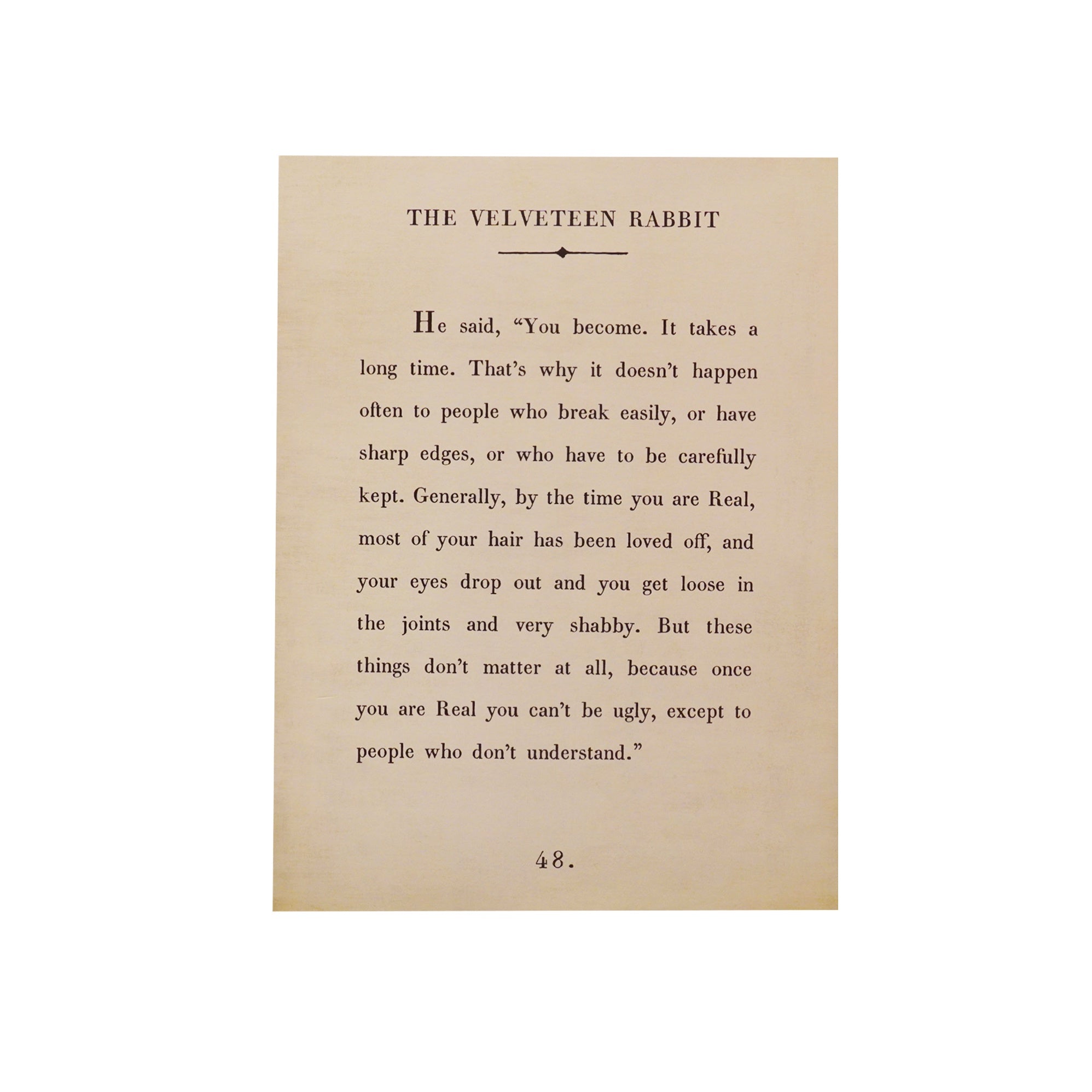 The Velveteen Rabbit Art Poster - Book Collection