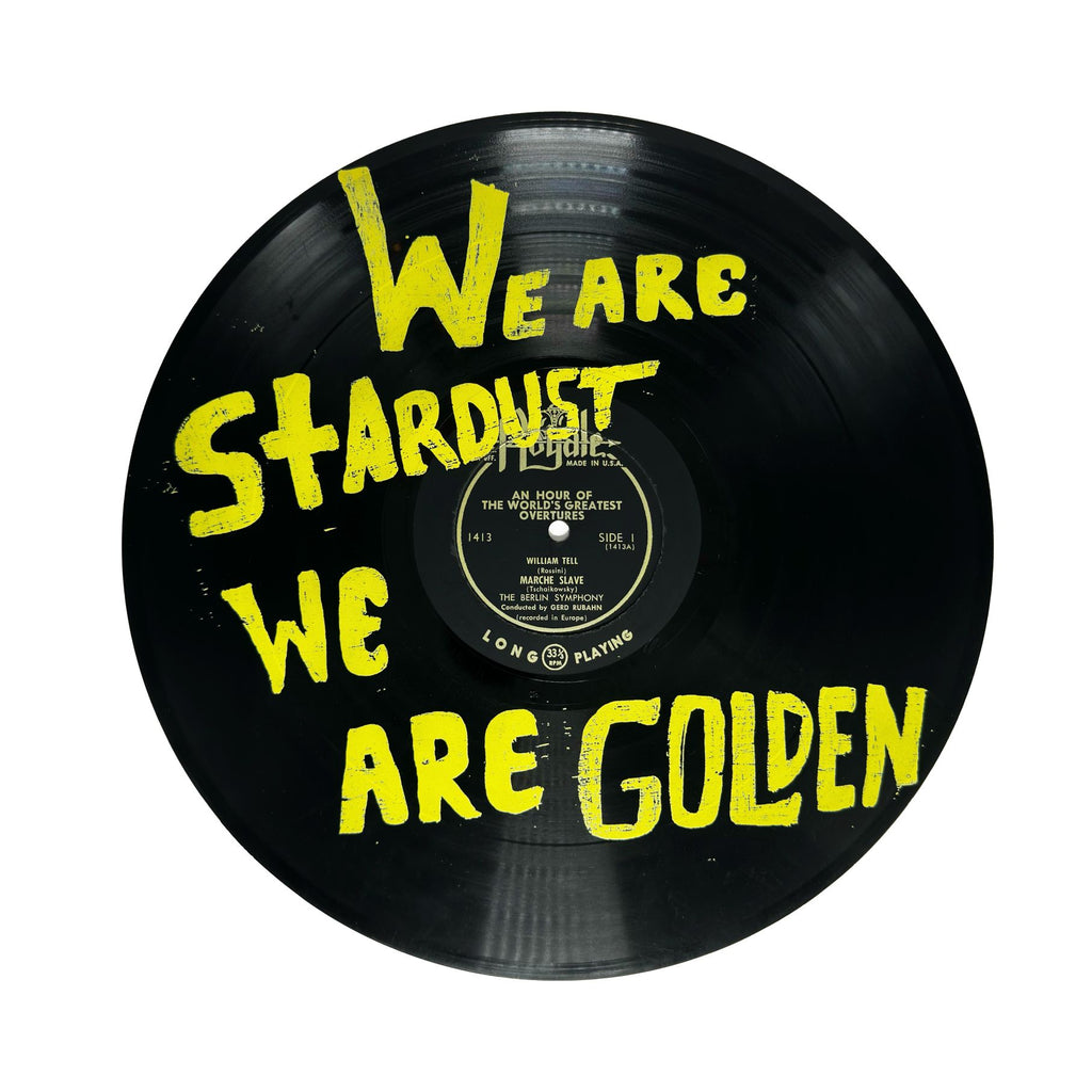 We Are Stardust We Are Golden Vinyl Record