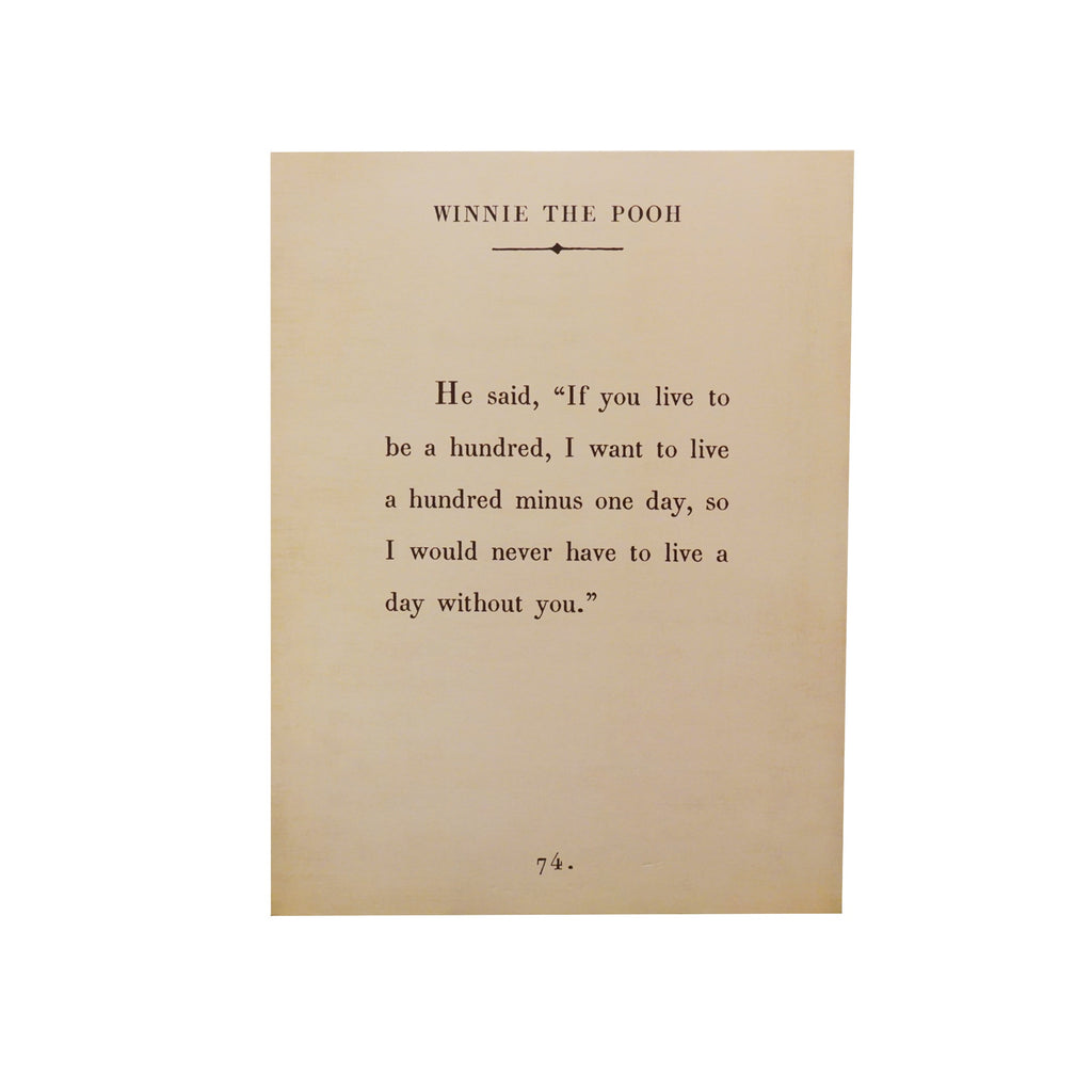 Winnie The Pooh Book Collection Art Poster