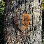 Rustic Carved Heart with Nails - 8x8