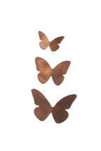 Small Butterfly Installation